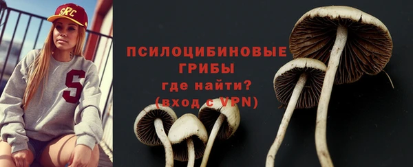 индика Ухта