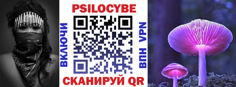 где купить наркоту  Оленегорск  Псилоцибиновые грибы GOLDEN TEACHER 
